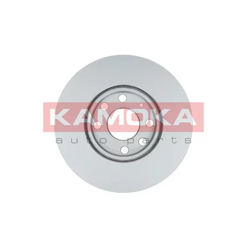 Brzdový kotúč 1036808 /KAMOKA/ - obr. 1
