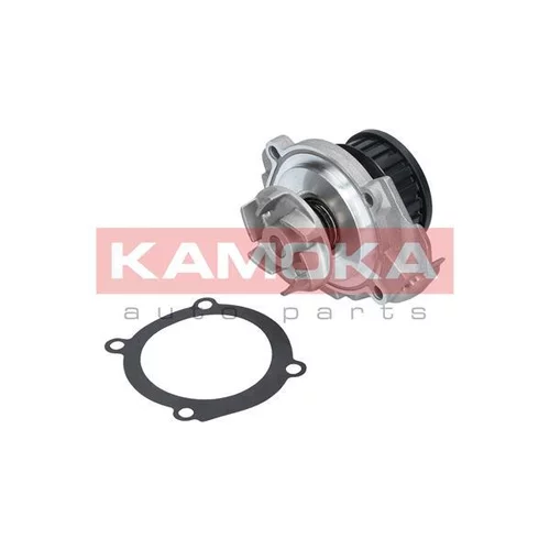 Vodné čerpadlo, chladenie motora T0117 /KAMOKA/ - obr. 2