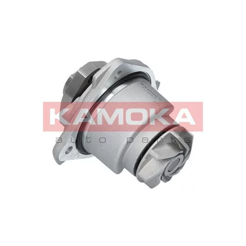 Vodné čerpadlo, chladenie motora T0256 /KAMOKA/ - obr. 1