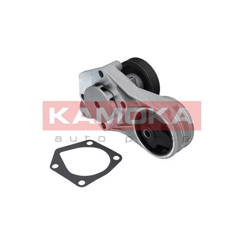Vodné čerpadlo, chladenie motora T0258 /KAMOKA/ - obr. 1