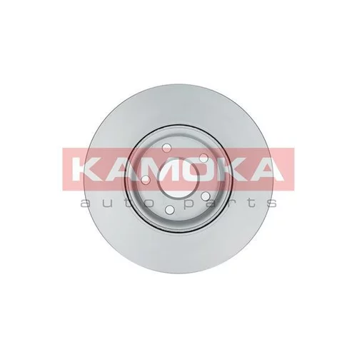 Brzdový kotúč 1031016 /KAMOKA/ - obr. 1