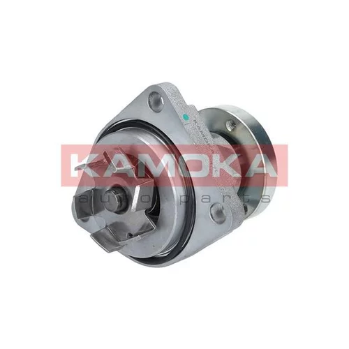 Vodné čerpadlo, chladenie motora T0237 /KAMOKA/ - obr. 1