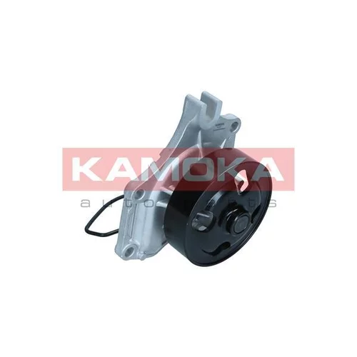 Vodné čerpadlo, chladenie motora T0307 /KAMOKA/ - obr. 2