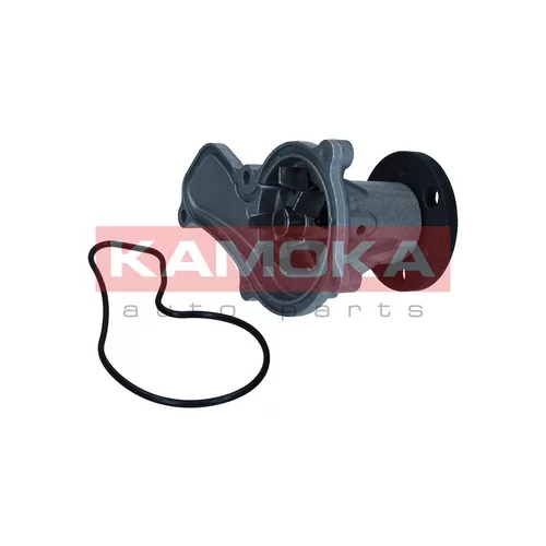 Vodné čerpadlo, chladenie motora T0314 /KAMOKA/ - obr. 1
