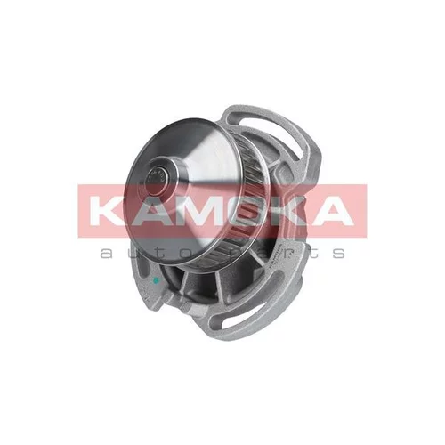 Vodné čerpadlo, chladenie motora T0254 /KAMOKA/ - obr. 2