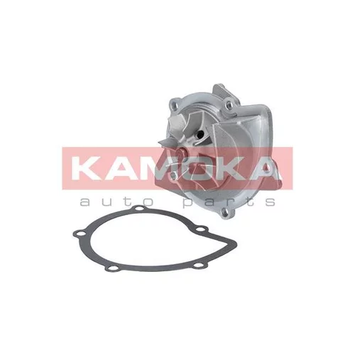 Vodné čerpadlo, chladenie motora T0091 /KAMOKA/ - obr. 1