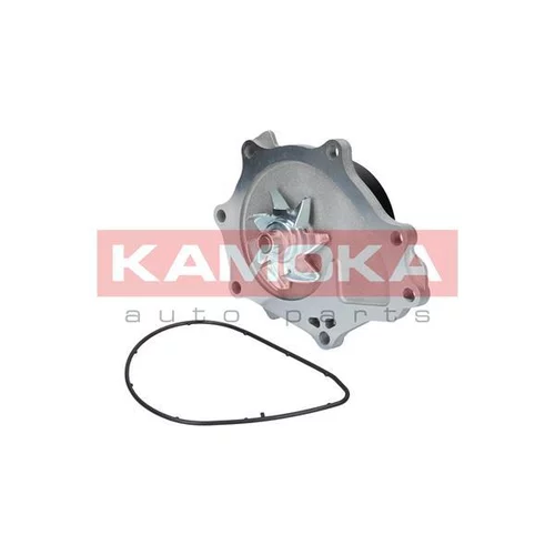 Vodné čerpadlo, chladenie motora T0176 /KAMOKA/ - obr. 1