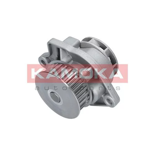 Vodné čerpadlo, chladenie motora T0248 /KAMOKA/ - obr. 2