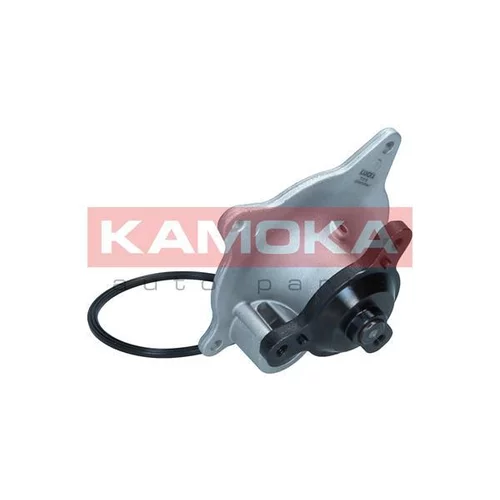 Vodné čerpadlo, chladenie motora T0318 /KAMOKA/ - obr. 2