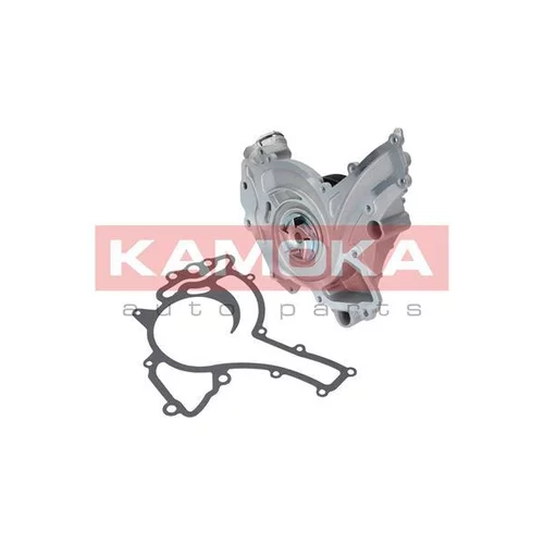 Vodné čerpadlo, chladenie motora T0192 /KAMOKA/ - obr. 1