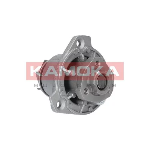 Vodné čerpadlo, chladenie motora T0256 /KAMOKA/ - obr. 3