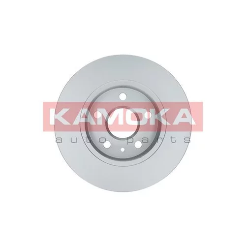 Brzdový kotúč 103119 /KAMOKA/ - obr. 1
