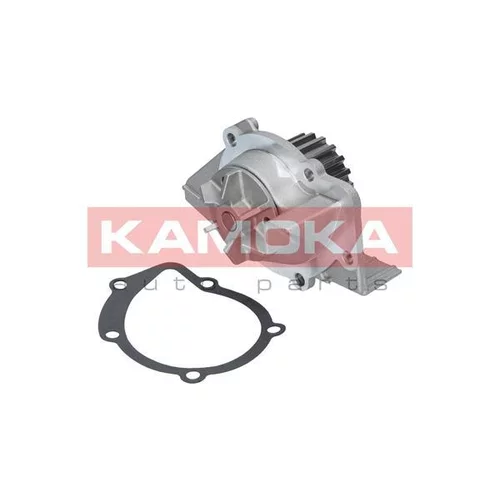 Vodné čerpadlo, chladenie motora T0099 /KAMOKA/ - obr. 1