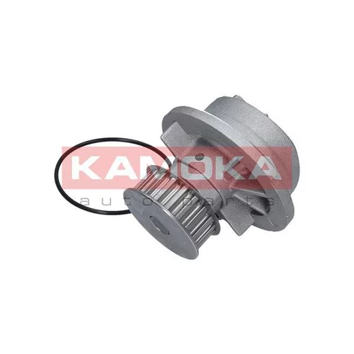 Vodné čerpadlo, chladenie motora T0235 /KAMOKA/ - obr. 3