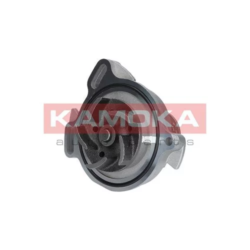 Vodné čerpadlo, chladenie motora T0275 /KAMOKA/ - obr. 1