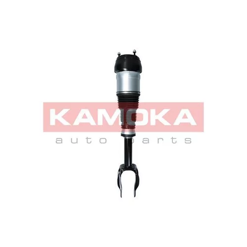 Vzduchový vak 2070001 /KAMOKA/ - obr. 1