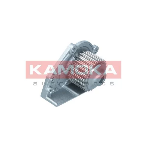 Vodné čerpadlo, chladenie motora T0174 /KAMOKA/ - obr. 1