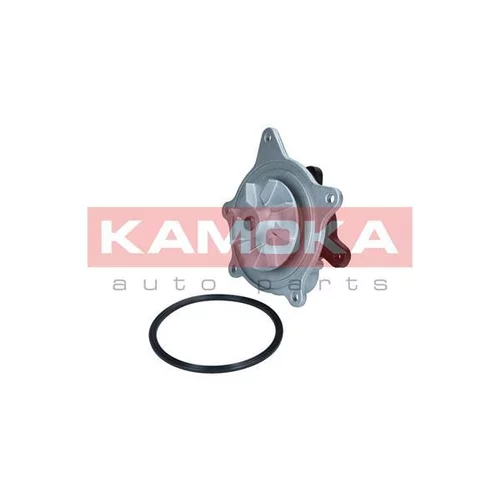 Vodné čerpadlo, chladenie motora T0318 /KAMOKA/ - obr. 1