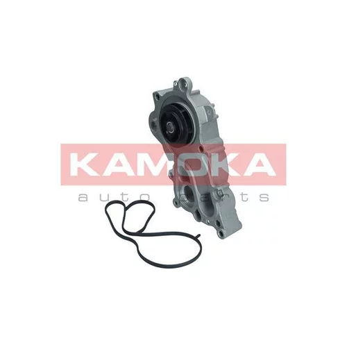 Vodné čerpadlo, chladenie motora T0286 /KAMOKA/ - obr. 1