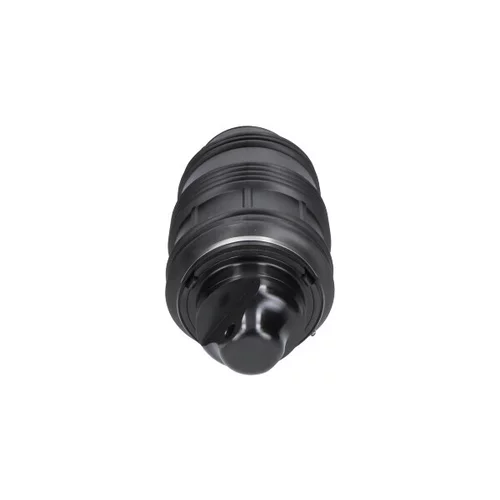 Vzduchová pružina podvozku SAS-10026 (KAVO PARTS) - obr. 2