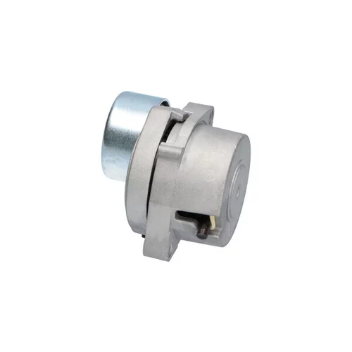 Napínacia kladka rebrovaného klinového remeňa DTP-2012 (KAVO PARTS) - obr. 1