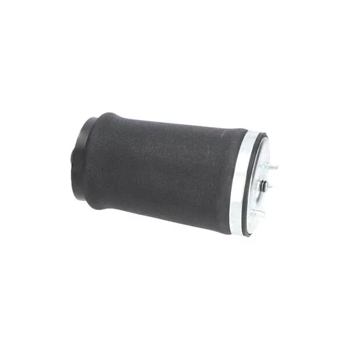Vzduchová pružina podvozku SAS-10034 (KAVO PARTS) - obr. 1
