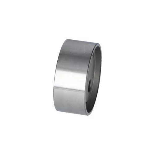 Napínacia kladka ozubeného remeňa DTE-5540 (KAVO PARTS) - obr. 1