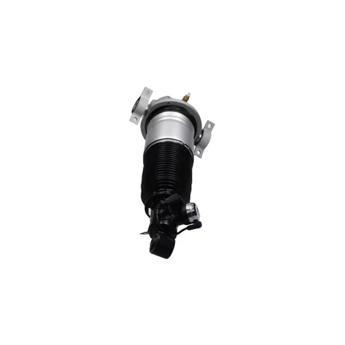 Vzduchový vak KAVO PARTS SAS-10047