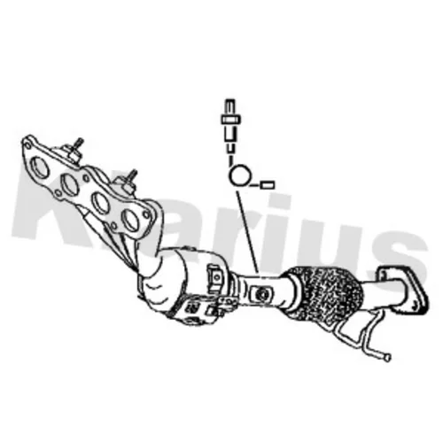 Katalyzátor KLARIUS 312657