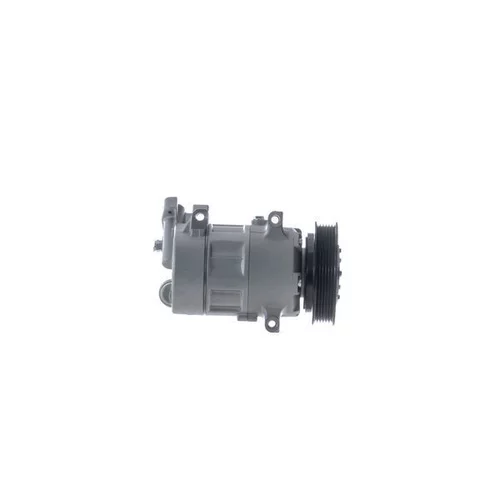 Kompresor klimatizácie ACP 542 000S /MAHLE/ - obr. 6
