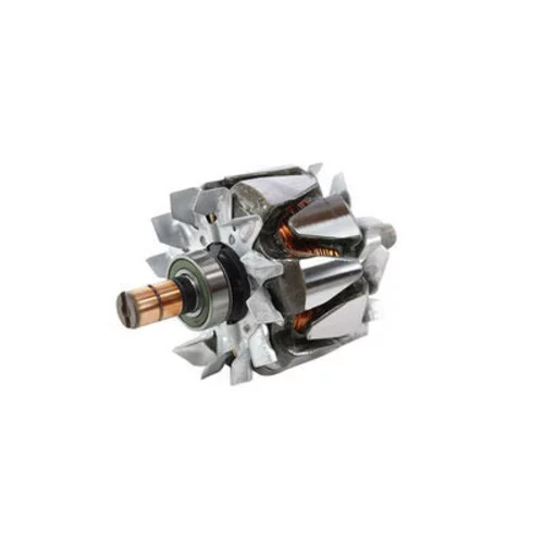 Rotor alternátora MGX 876 /MAHLE/ - obr. 1