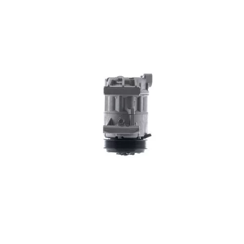 Kompresor klimatizácie ACP 1564 000P /MAHLE/ - obr. 9