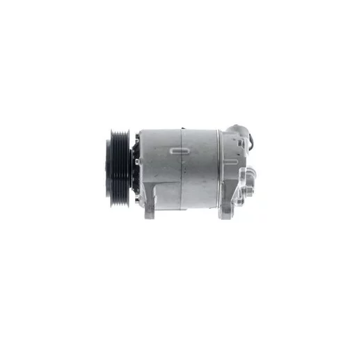 Kompresor klimatizácie ACP 1383 000P /MAHLE/ - obr. 17