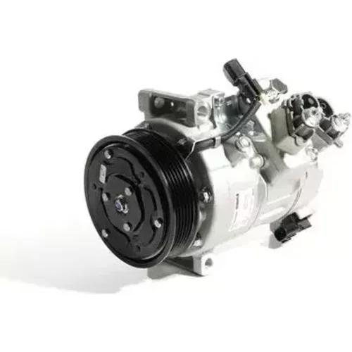 Kompresor klimatizácie ACP 1643 000S /MAHLE/ - obr. 7