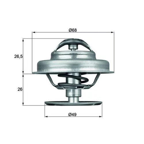 Termostat chladenia MAHLE TX 62 89