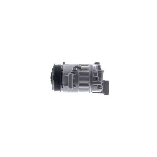 Kompresor klimatizácie ACP 1563 000P /MAHLE/ - obr. 9