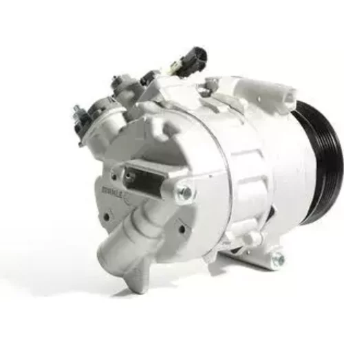 Kompresor klimatizácie ACP 1643 000S /MAHLE/ - obr. 3