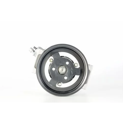 Kompresor klimatizácie ACP 1314 000P /MAHLE/ - obr. 12