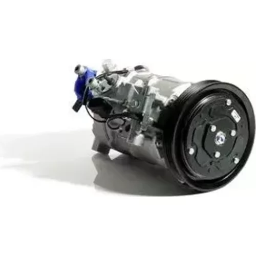Kompresor klimatizácie ACP 1677 000S /MAHLE/ - obr. 1