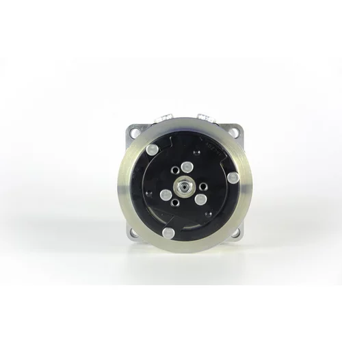 Kompresor klimatizácie ACP 1062 000P /MAHLE/ - obr. 1