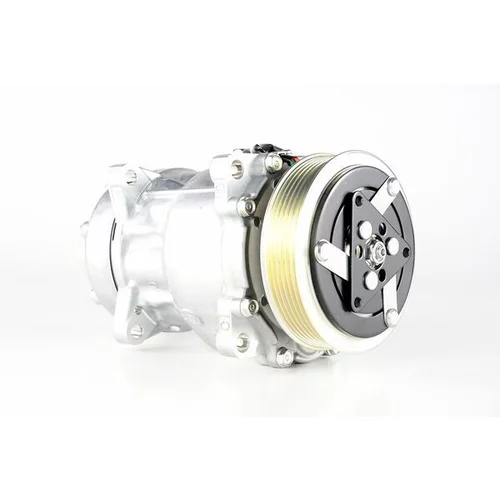 Kompresor klimatizácie ACP 29 000P /MAHLE/ - obr. 12