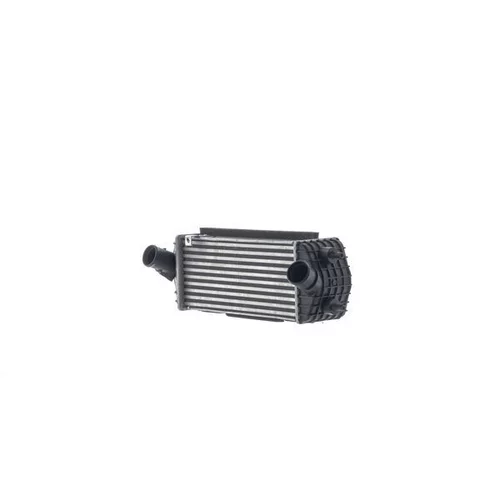 Chladič plniaceho vzduchu CI 695 000S /MAHLE/ - obr. 1