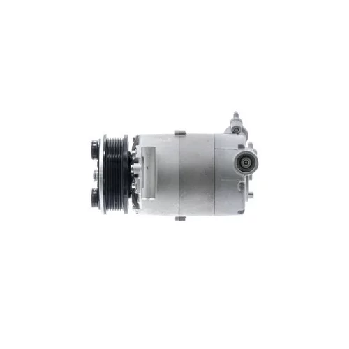 Kompresor klimatizácie ACP 1364 000P /MAHLE/ - obr. 19