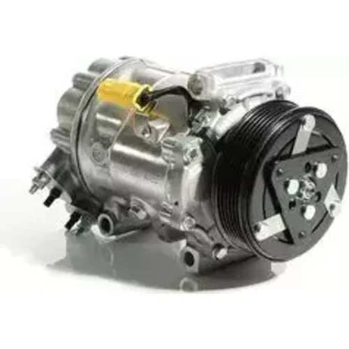 Kompresor klimatizácie ACP 545 000S /MAHLE/ - obr. 1