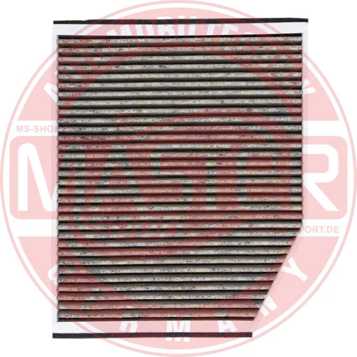 Filter vnútorného priestoru 29007/1-IFB-PCS-MS (MASTER-SPORT GERMANY) - obr. 1