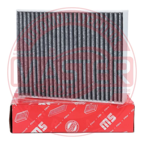 Filter vnútorného priestoru 25001/1-IF-PCS-MS (MASTER-SPORT GERMANY) - obr. 1