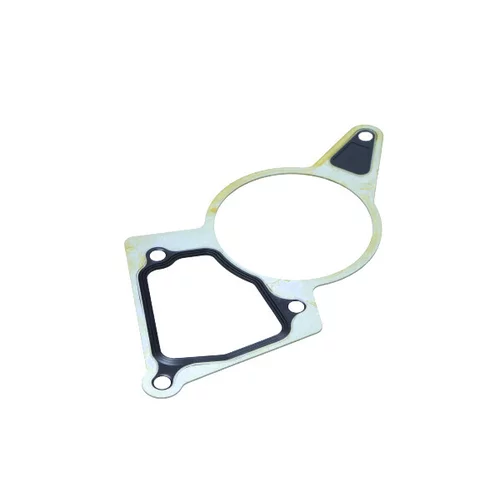 Tesnenie vákuového čerpadla 70-0148 /MaXgear/ - obr. 1
