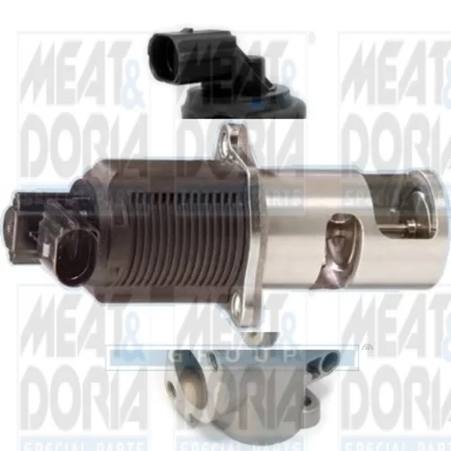 EGR ventil MEAT & DORIA 88013R