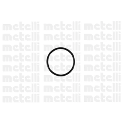 Vodné čerpadlo, chladenie motora 24-0717 /METELLI/ - obr. 1