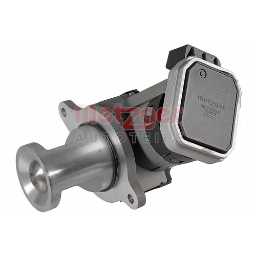 EGR ventil METZGER 08920031